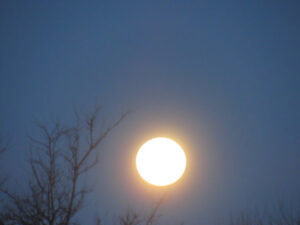 Bare branches silhouetted against a bright moon representing transition