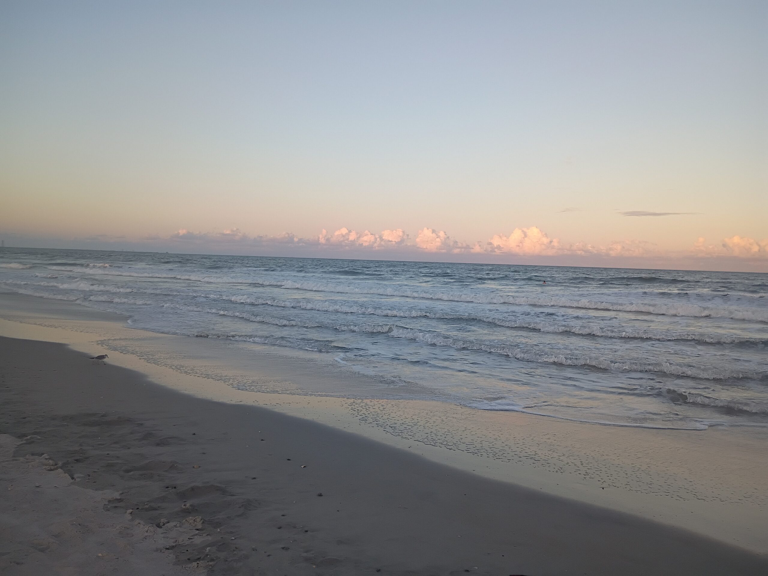A wide, peaceful view of the ocean shoreline at dusk or dawn. Gentle, layered waves wash onto the dark sand, reflecting the soft, muted pastels of the sky, with a low row of clouds touched by soft pink light sitting on the distant horizon.